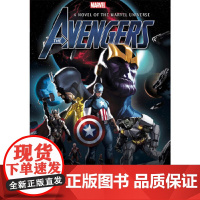 Avengers: Infinity Prose Novel Titan Books (UK)