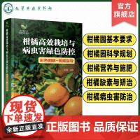 乡村振兴之科技兴农系列 柑橘高效栽培与病虫害绿色防控 彩色图解 视频指导 柑橘园规划设计 苗木栽植 柑橘栽培技术指导参考