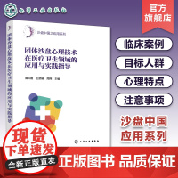 团体沙盘心理技术在医疗卫生领域的应用与实践指导 沙盘中国之应用系列 团队沙盘心理临床案例 沙盘心理技术临床心理工作指导用