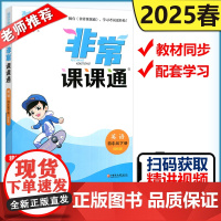 2025春通成学典 非常课课通小学四年级英语下册译林版培优教辅 4年级下册YL版课堂笔记同步课本教材全解课前预