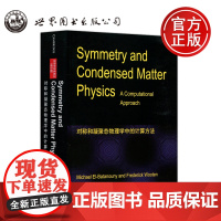 对称和凝聚态物理学中的计算方法 Symmetry and Condensed Matter Physics [