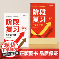 时光学 小学阶段复习语文数学人教版五年级上下册全国通用知识点复习资料书基础知识手册大全汇总复习预习提优训练真题集专项训练