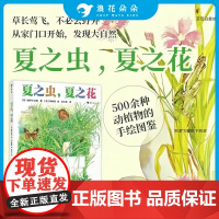 夏之虫夏之花 4-8岁夏季动植物自然图鉴科普绘本 500余种夏日动植物的唯美图鉴 浪花朵朵童书京派旗袍经济杠杆软雪