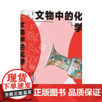 安徽店正版 文物中的化学 大众文物科普读物 揭示文物背后的化学原理 中学生课外书 文物研究科普书籍