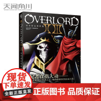 不死者之王小说完全设定资料集OVERLORDⅡⅢ季完全设定资料集骨傲天小说画集设定资料集骨王小说丸山黄金天闻角川漫