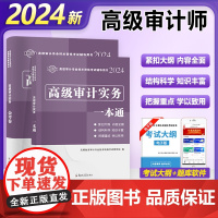 高级审计师教材2024辅导用书教材一本通历年真题试卷AUDIT高级审计实务注册审计师执业资格考试模拟冲刺卷全套相关基础知