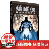 蝙蝠侠-披风斗士的命运