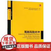 尾部风险对冲-在波动市场中创造稳健的证券投资组合