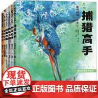 解锁动物生存密码捕猎争斗伪装防御合作炫耀全6册