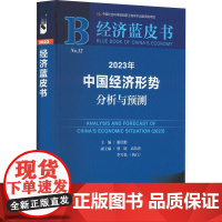 票据法律适用指南-审理票据纠纷案件规定理解与适用