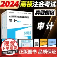 2024cpa教材注会教材审计CPA知识点全解真题模拟会计注册会计师高顿教材高顿大蓝本真题卷注会教材辅导书注册会计师