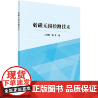 [按需印刷]弱磁无损检测技术科学出版社