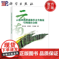 ]云南亚热带森林单木生物量空间效应分析 欧光龙 农明川 王俊峰 科学出版社 9787030708694