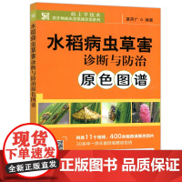 水稻病虫草害诊断与防治原色图谱 夏声广 农作物病虫害快速诊治 中国农业出版社