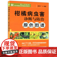 柑橘病虫害诊断与防治原色图谱 夏声广 柑橘种植技术 果树病虫害图谱水果种植书诊治与防治管理 中国农业出版社