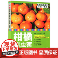 柑橘病虫害绿色防控彩色图谱 张宏宇 李红叶 柑橘病虫害防治 果树种植技术 水果种植书籍果图谱教程 中国农业出版