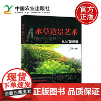 水草造景艺术:从入门到精通 王超 亲近自然心与景交融鱼缸造景入门教程书时尚生活水草造景艺术栽培 中国农业出版