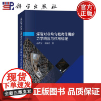 ]煤岩对非均匀载荷作用的力学响应与作用机理 赵洪宝,戈海宾科学出版社9787030773647正版书籍