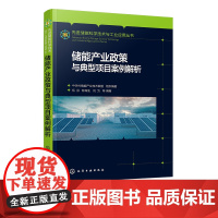 先进储能科学技术与工业应用丛书 储能产业政策与典型项目案例解析 储能市场 储能标准规范 国外储能政策 储能技术 电源电网