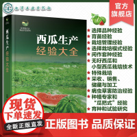 乡村振兴之科技兴农系列 西瓜生产经验大全 西瓜高效种植技术经验图文大全 西瓜育种育苗采收销售 西瓜种植病虫害防治 西瓜栽