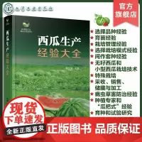 乡村振兴之科技兴农系列 西瓜生产经验大全 西瓜高效种植技术经验图文大全 西瓜育种育苗采收销售 西瓜种植病虫害防治 西瓜栽