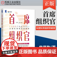 首席组织官 从团队到组织的蜕变 房晟陶 左谦 樊莉 敏捷组织管理书籍 人才培训 打造高效敏捷团队企业管理书籍正版 机械工