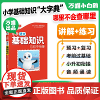 2025版万唯小白鸥小学基础知识与初中衔接大全语文部编人教版小升初总复习强化训练四五六年级小白欧语文基础知识手册万维小白