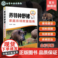 养特种野猪家庭农场致富指南 肖冠华 家庭农场方式养特种野猪技术 特种野猪养殖技术人员特种野猪养殖户和特种野猪养殖企业参考