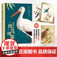 雕版手绘珍鸟图鉴(荷兰皇家图书馆珍藏200多年的“国家级”古画)观鸟系列科普天地社