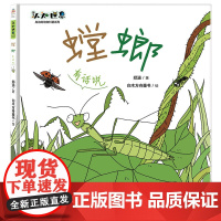 身边的动物科普:螳螂—有话说(生物学家联合审稿,了解螳螂的习性和各种“超能力”)