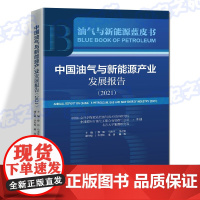 中国油气与新能源产业发展报告(2021)/油气与新能源蓝皮书