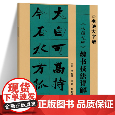 张猛龙碑 魏碑技法详解 书法大字谱 楷书毛笔软笔古碑帖集字字帖基本笔画偏旁部首字形结构讲解 广西美术出版社