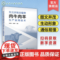 东北农牧交错带肉牛肉羊生产实用技术 孙亚波 肉牛肉羊饲料与加工调制技术 繁殖实用技术 东北农牧交错地区肉牛肉羊养殖生产者