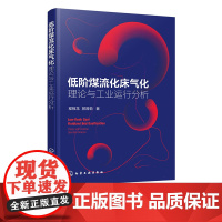 低阶煤流化床气化 理论与工业运行分析 程相龙 流化床气化低阶煤 低阶煤流化床煤气化技术反应器模型 高校煤化工专业参考教材