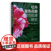 牡丹复色花瓣显色机理研究 张新鹏 复色牡丹牡丹花瓣花瓣显色 植物花色与花青苷 高校师生参考教材 人为调控牡丹花色指导书