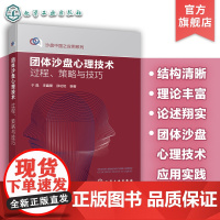 正版 团体沙盘心理技术 过程策略与技巧 沙盘中国系列 一本书读懂团体沙盘心理技术 心理学入门书籍 团体心理学沙盘应用入门