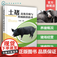 土猪高效养殖与疾病防治技术 李观题 土猪养殖土猪疾病防治土猪地方猪种 土猪养殖全流程指导 乡镇畜牧技术管理人员阅读参考