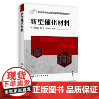 新型催化材料 许俊强 催化材料化工材料 能源材料纳米材料 实际催化剂工程案例分析 化工课程教材 高校材料化学环境能源等专