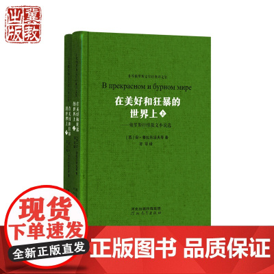 在美好和狂暴的世界上 俄罗斯抒情散文小说选 安·普拉东诺夫等 著 非琴 译 河北教育出版社店