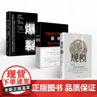 FZ 规模+原则+爆裂(套装共3册)瑞 达利欧 桥水基金 债务危机管理学 企业运营经营团队商业思维创业书 中信出版社