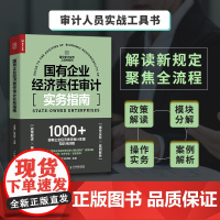 国有企业经济责任审计实务指南 国企审计工具书财务报告审计报告会计财务报表普华审计实务工具书系列