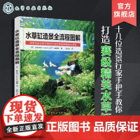 水草缸造景全流程图解 日本引进图解水草缸造景流程一本通 赛季精美水草缸教程 水草鱼缸草缸书籍栽培与造景艺术布景从入门到精