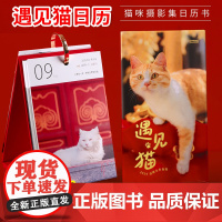 遇见猫日历2025年新款 猫咪日历温暖治愈指南 25年手撕日历小台历 中考高考倒计时考研打卡蛇年记事本创意桌面摆件