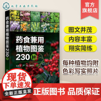 药食兼用植物图鉴230种 任全进 乔木灌木藤本半灌木草本 园艺园林植物学林学等专业参考书 园艺爱好者休闲饮食制作爱好者参