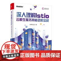 深入理解Istio:云原生服务网格进阶实战 Service Mesh核心功能架构解析安装部署流量控制Service Me