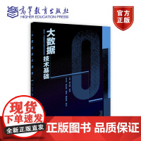 大数据技术基础 唐九阳 赵翔 高等教育出版社