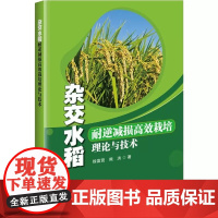 正版书籍 杂交水稻耐逆减损高效栽培理论与技术 徐富贤 熊洪 著 水稻生产对气候条件的响应 高低温对水稻开花期伤害的风险预