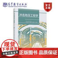 冲击地压工程学 潘一山 高等教育出版社