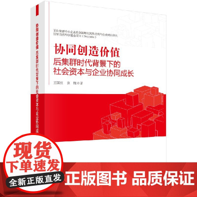 [按需印刷]协同创造价值/后集群时代背景下的社会资本与企业协同成长/王国红 袁腾科学出版社