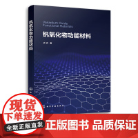 钒氧化物功能材料 齐济 钒氧化物二氧化钒功能材料 氧化钒合成工艺中的关键技术 化工材料学领域科研生产设计和应用人员阅读